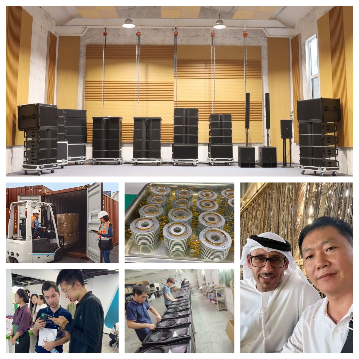 Weifang DOMC Audio Co., Ltd.