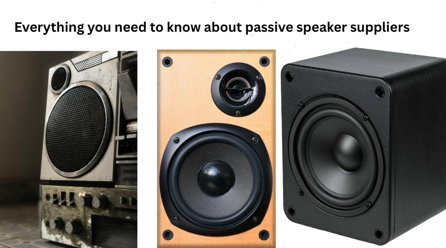 Everything you need to know about passive speaker suppliers