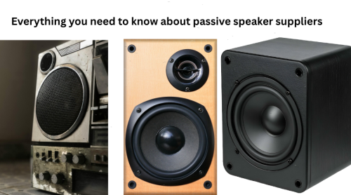 Everything you need to know about passive speaker suppliers
